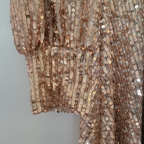 Champagne/blush colored never worn sequined cocktail dress - Picture 3 of 4